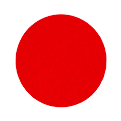 Diablo DCD090220H01G 9" 220-Grit Hook & Lock™ ROS Sanding Discs for Drywall