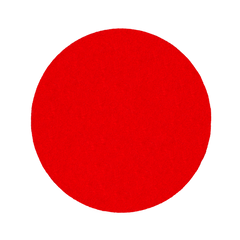 Diablo DCD090080H01G 9" 80-Grit Hook & Lock™ ROS Sanding Discs for Drywall