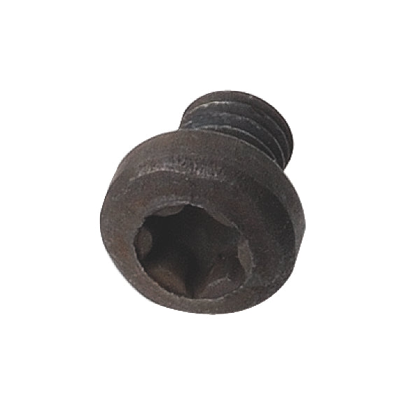 CMT 990.063.00 SCREW FOR BEARING TORX® T15 TSPTI M5x13x18mm D=6.8mm