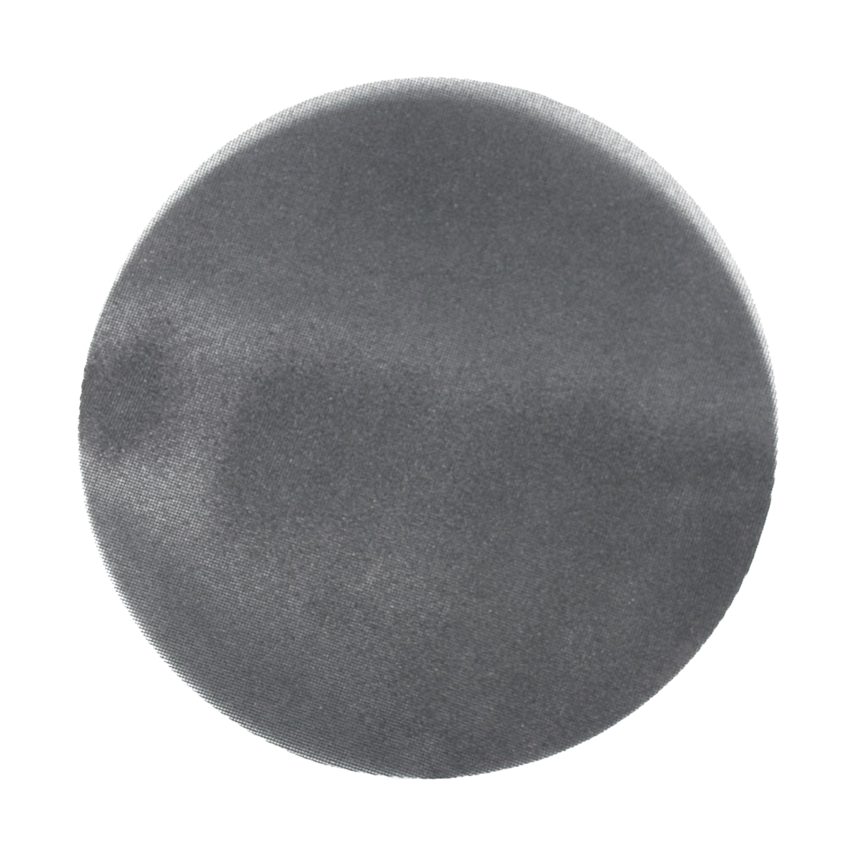 AvantiPRO PCE170080E01G 17 in. 80-Grit Sanding Screen